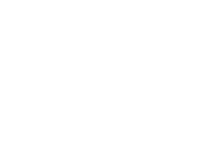 https://forest40.lt